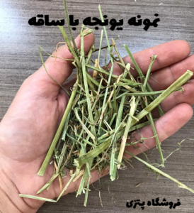 یونجه با ساقه جوندگان