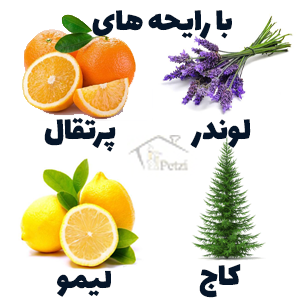 خاک معطر گربه