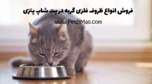 راهنمایی خرید ظرف غذای گربه