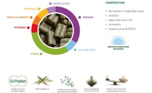 مشخصات غذای خرگوش