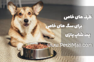 ظرف غذای استیل سگ
