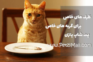ظرف غذای گربه ها