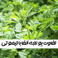 انواع یونجه برای جوندگان