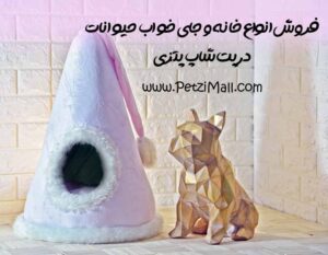 بهترین جای خواب خرگوش