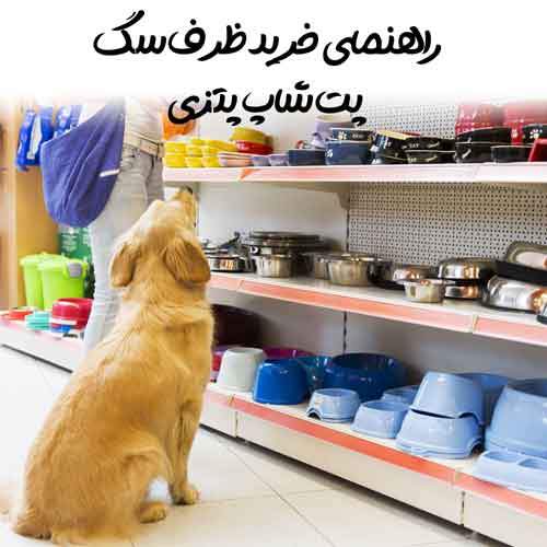 راهنمای خرید ظرف سگ