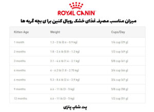 رویال کنین برای بچه گربه