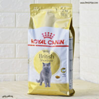 royal canin British Shorthair