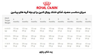 خرید غذای رویال کنین بچه گربه 