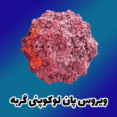 پان لوکوپنی گربه