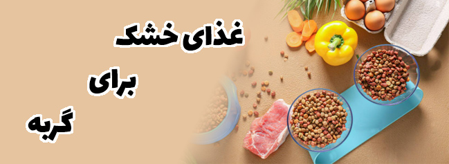 خرید غذای خشک گربه