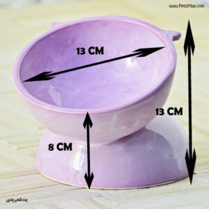 ظرف سرامیکی مناسب گربه
